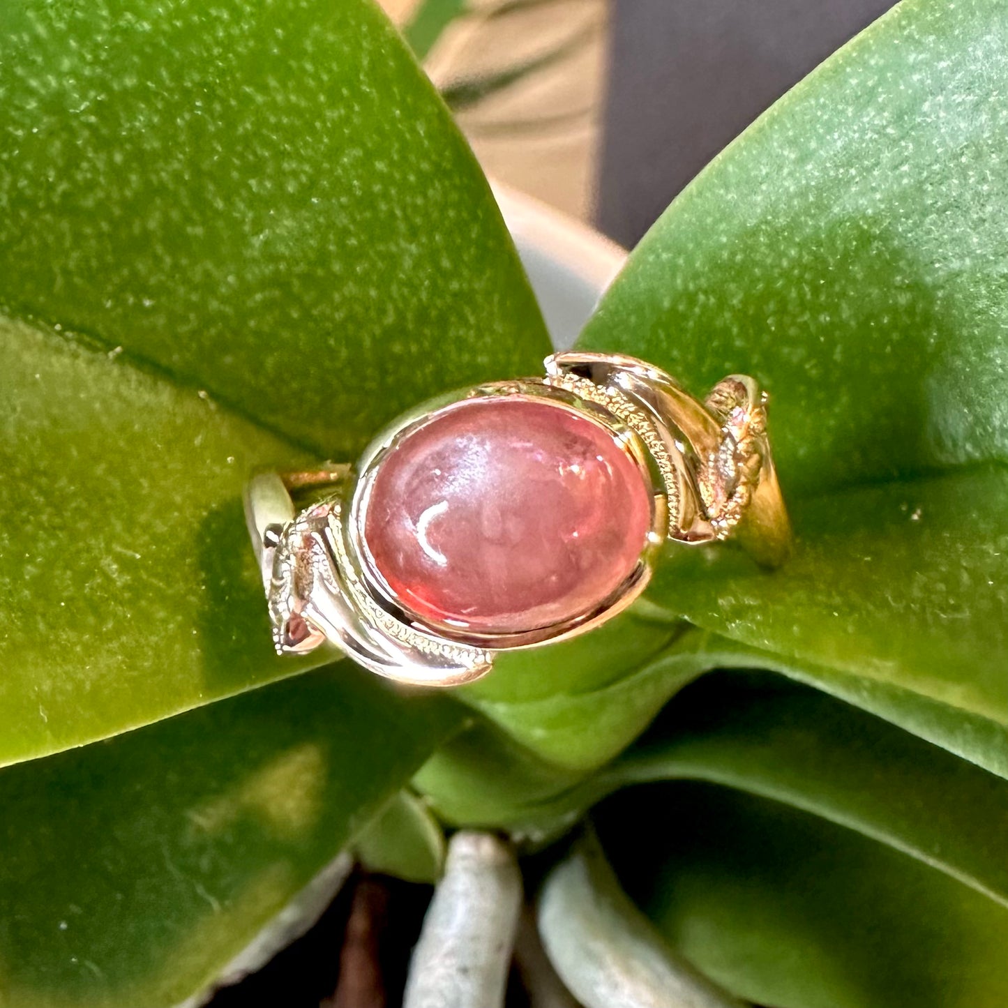 Vintage Rose