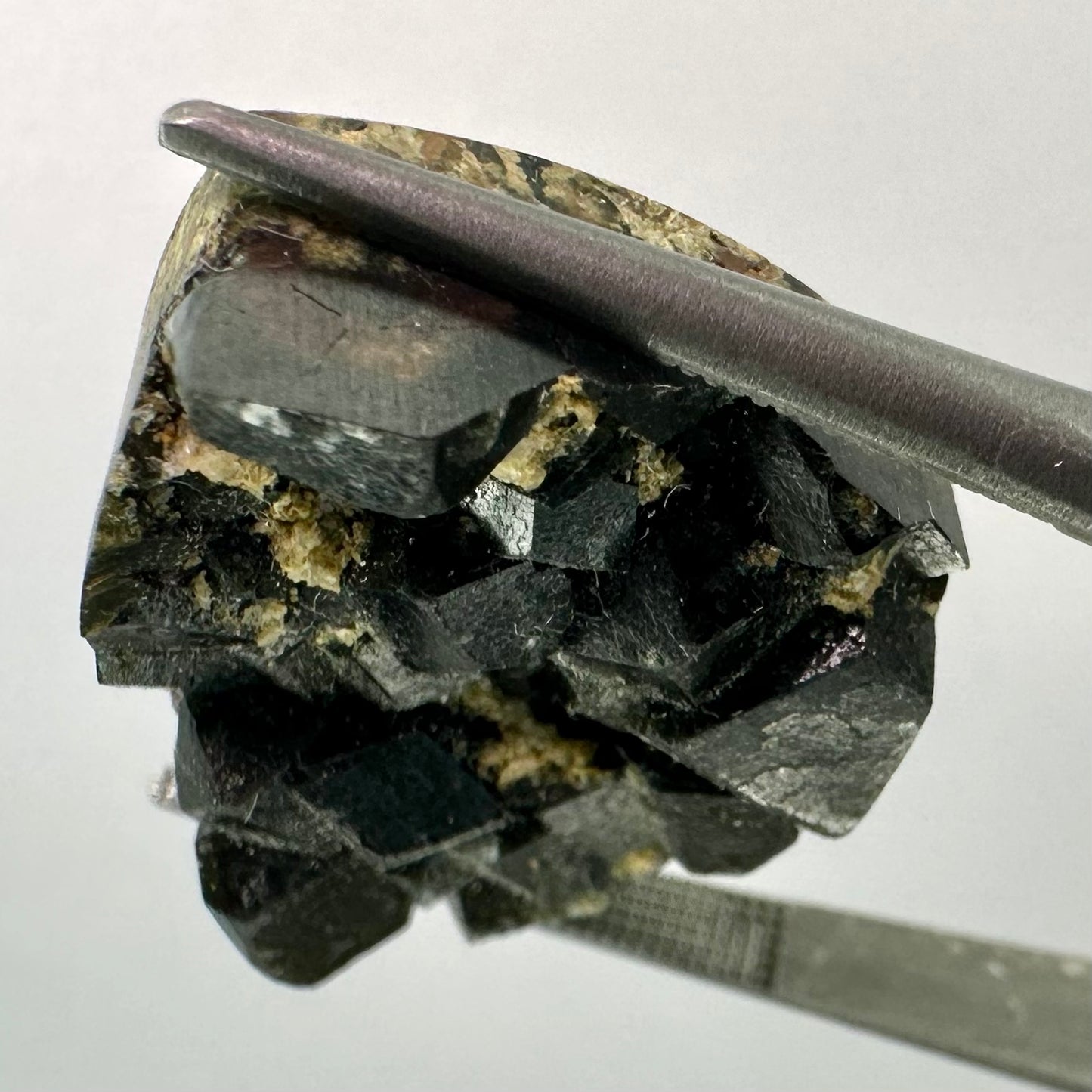 Giant Melanite Garnet Drusy Gem