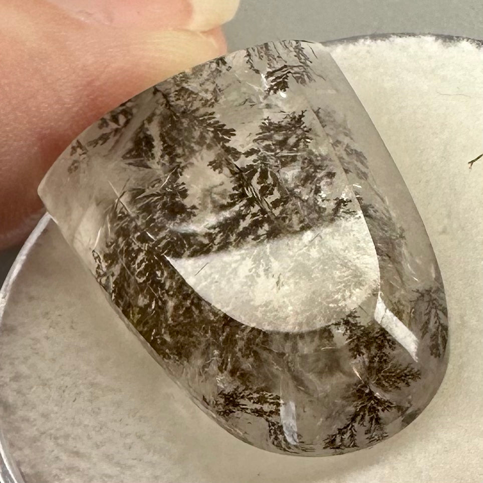 Dendritic Quartz Gemstone