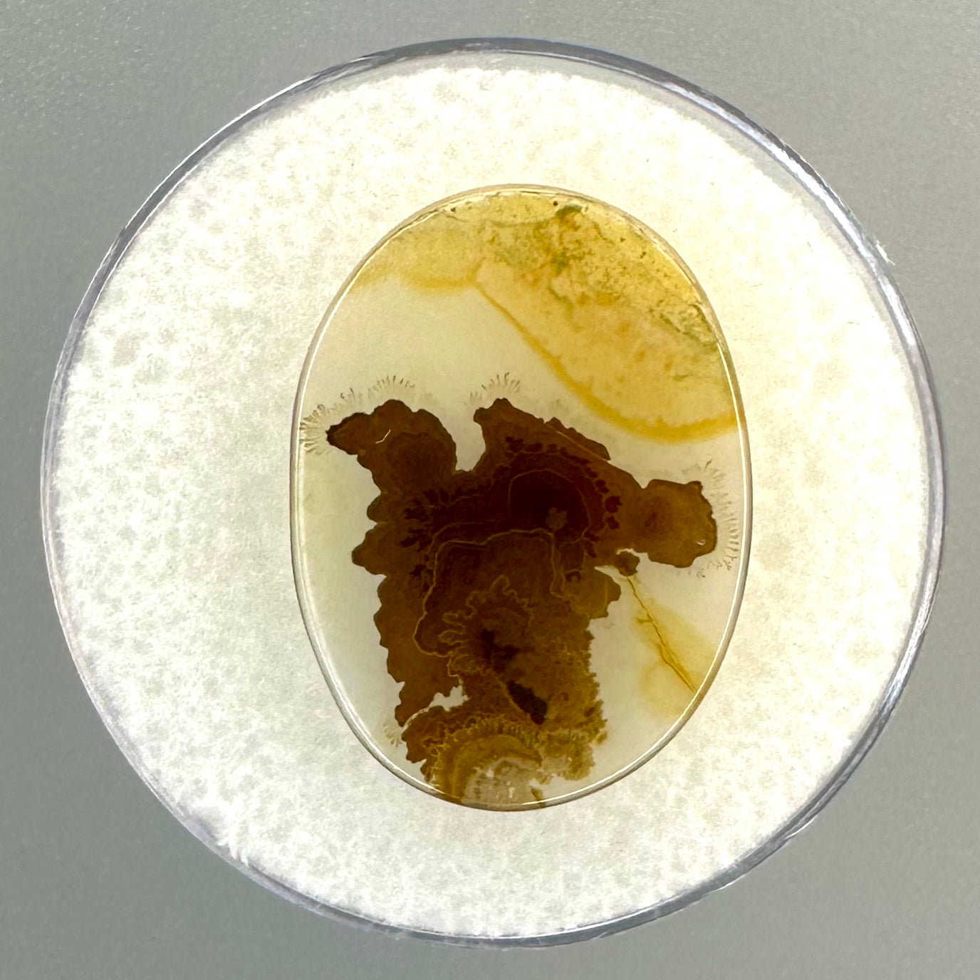 Agate with Geothite and Hematite inclusions