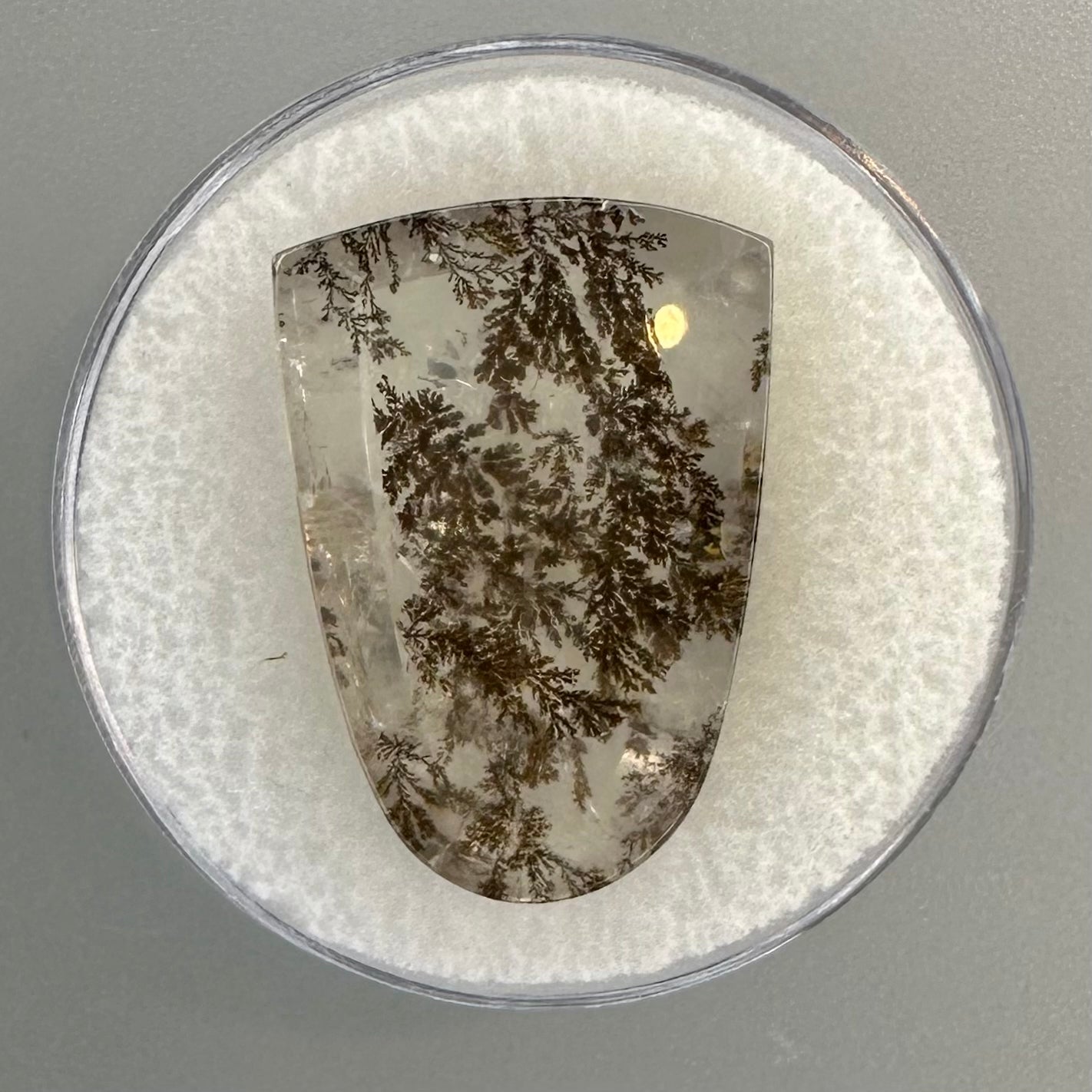 Dendritic Quartz Gemstone