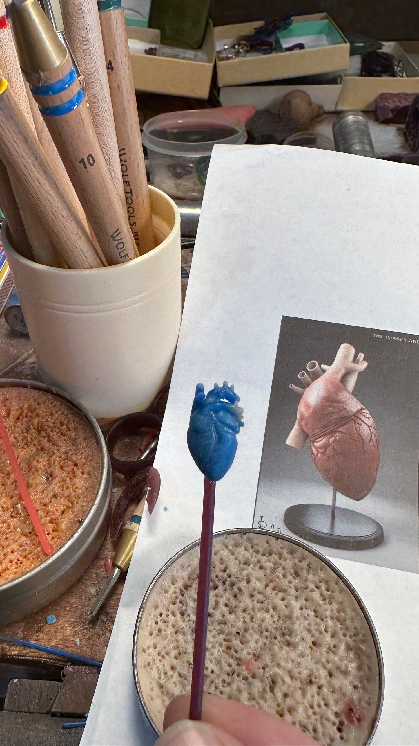 Vanessa's Heart of Gold