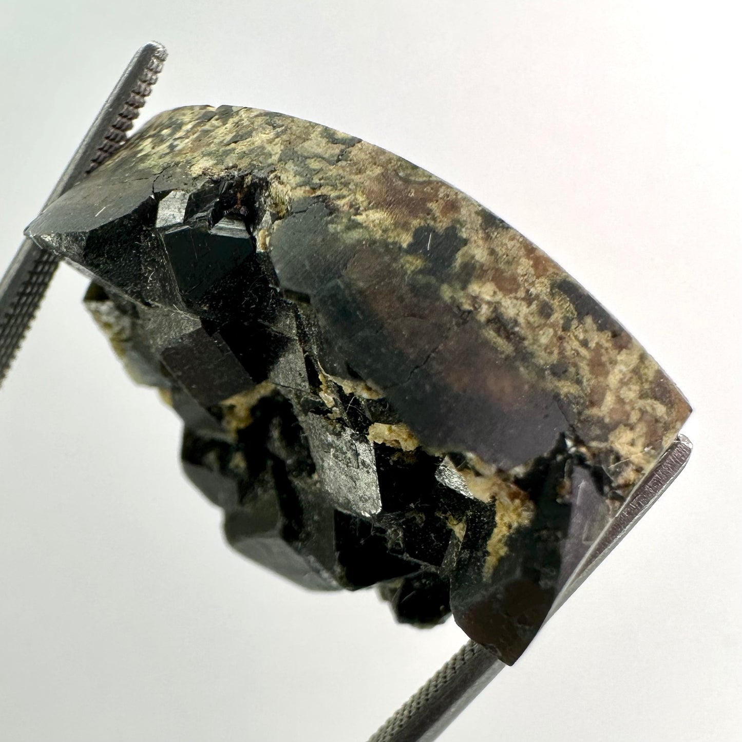 Giant Melanite Garnet Drusy Gem