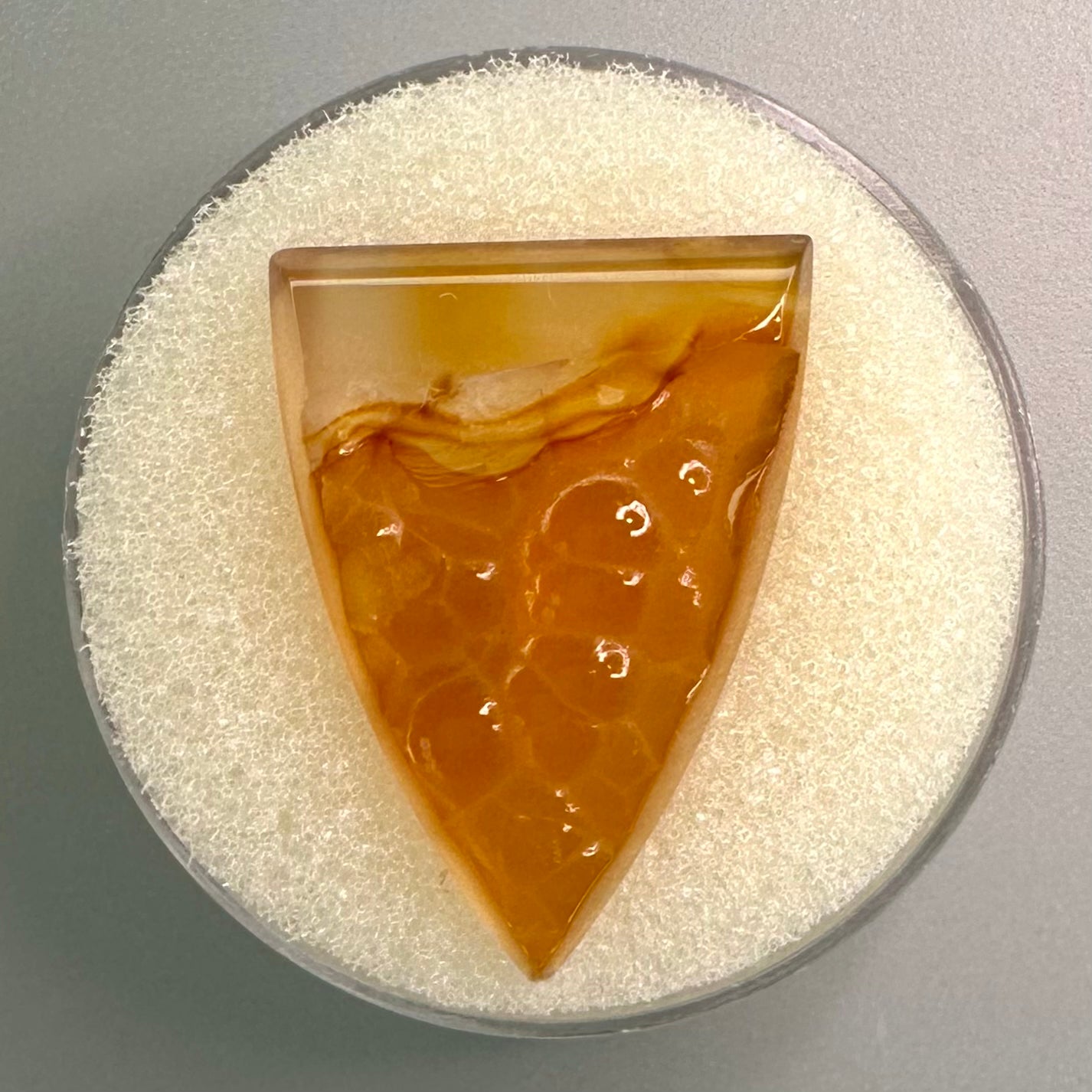 Botryoidal Carnelian Agate Trillion