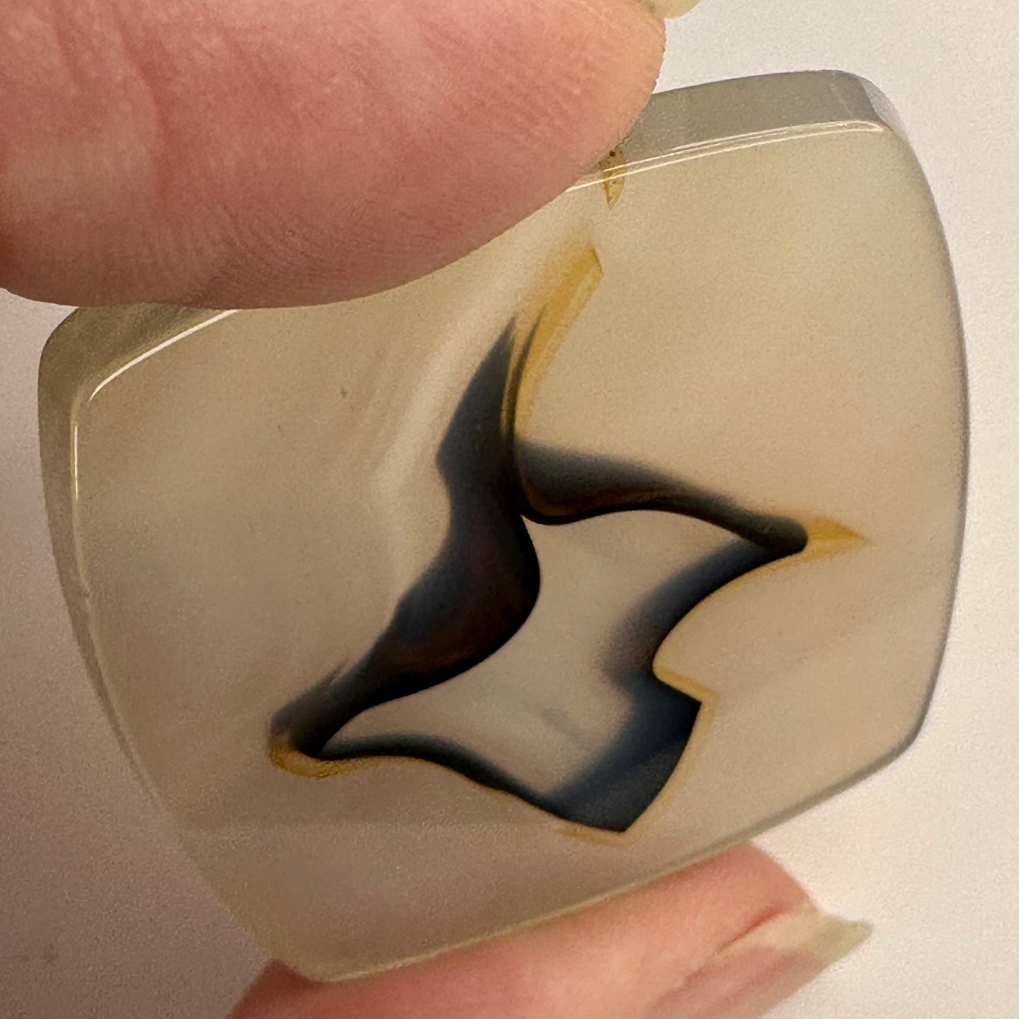 Cool Turkish Agate Slice with Ephemeral Shapes