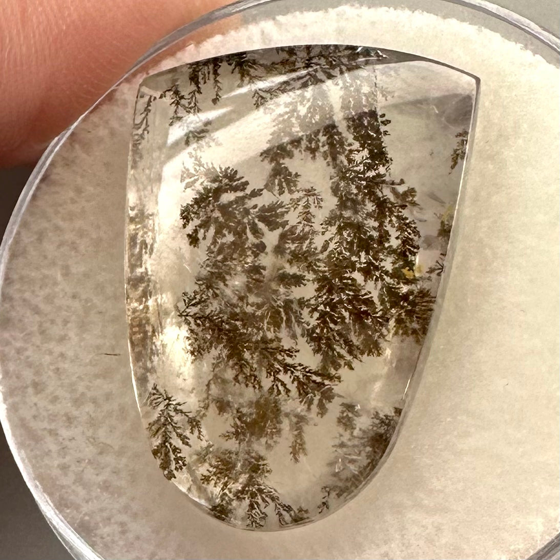 Dendritic Quartz Gemstone