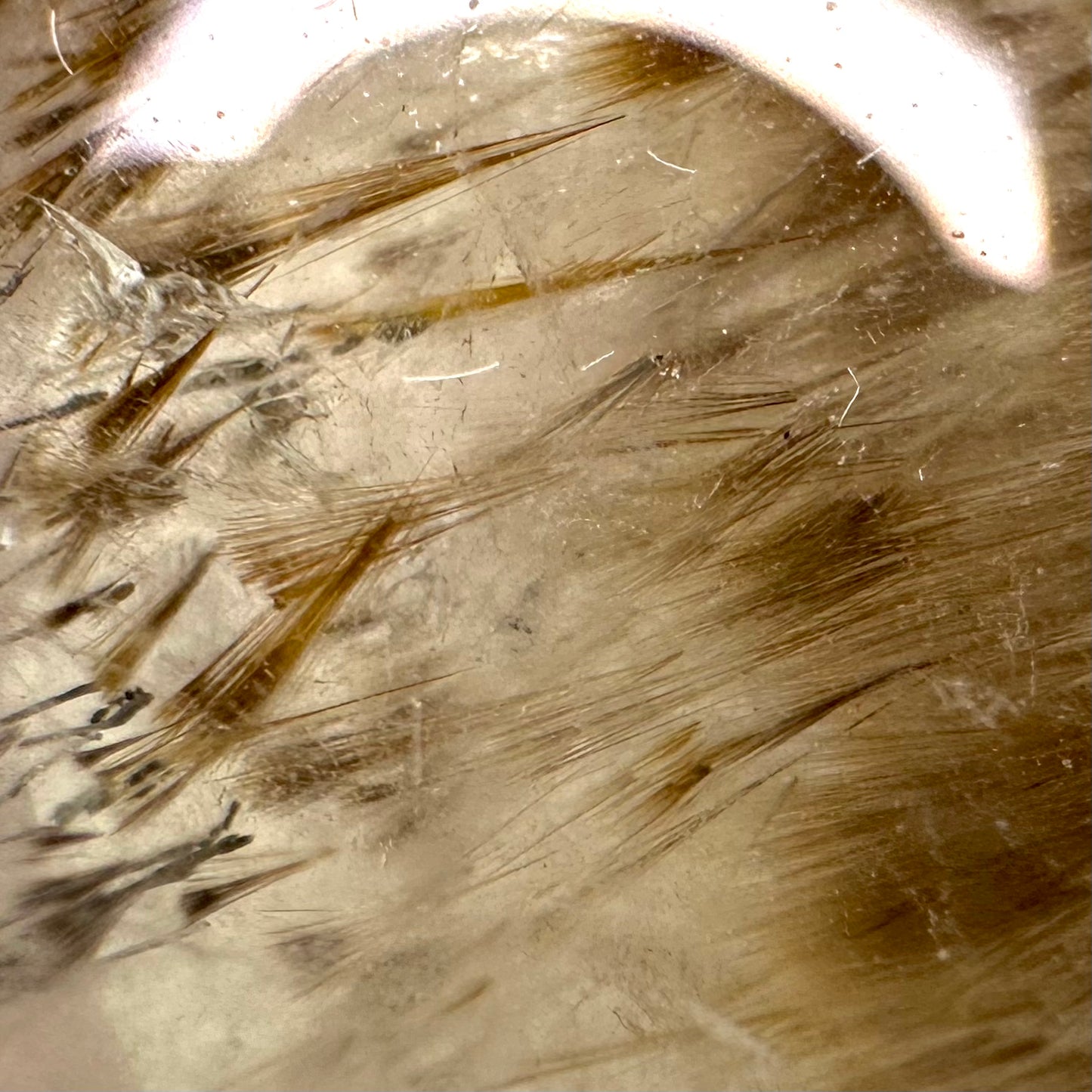 Cocoxenite in Quartz Oval Gem