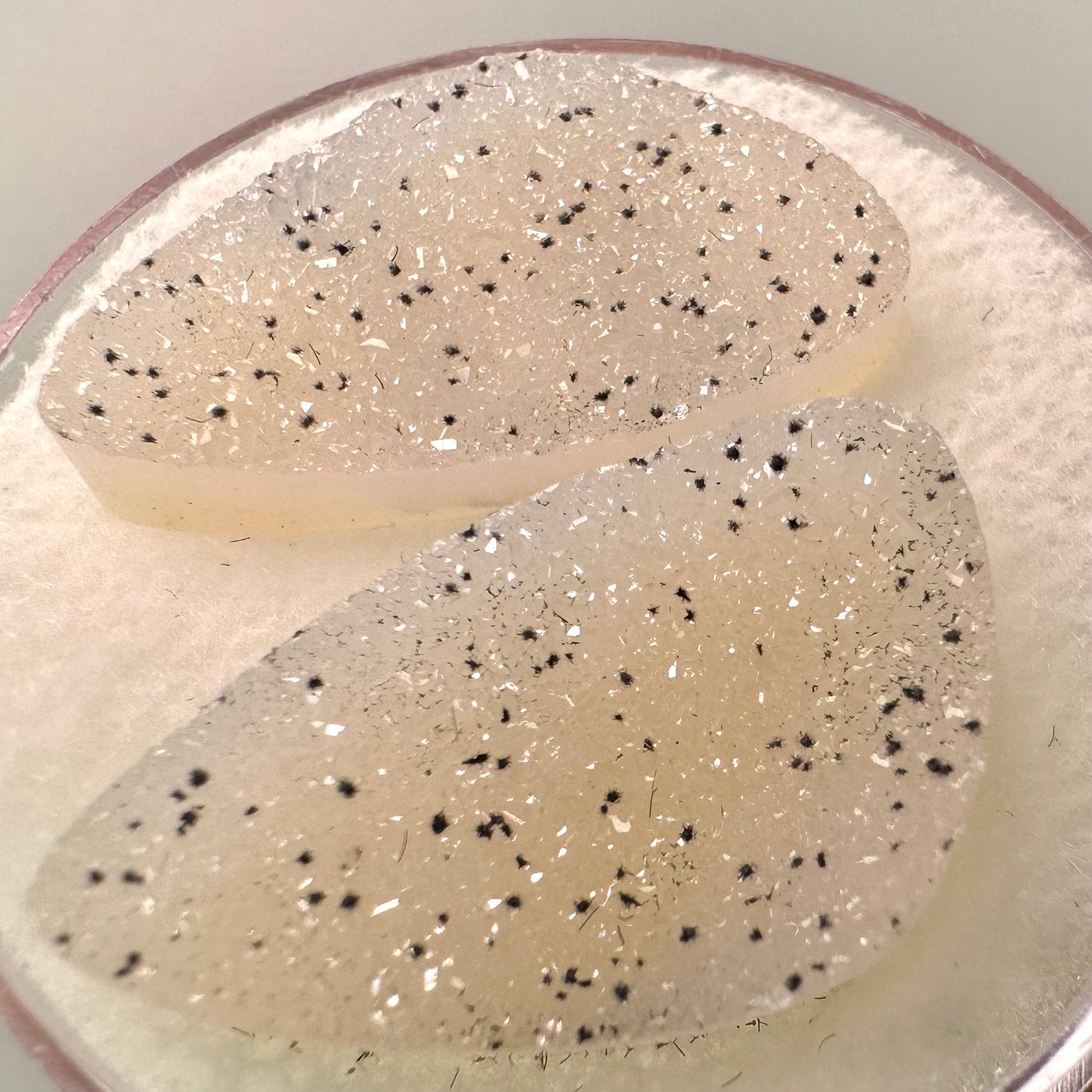 Sparkly Dalmatian Drusy pair of Agate Gems