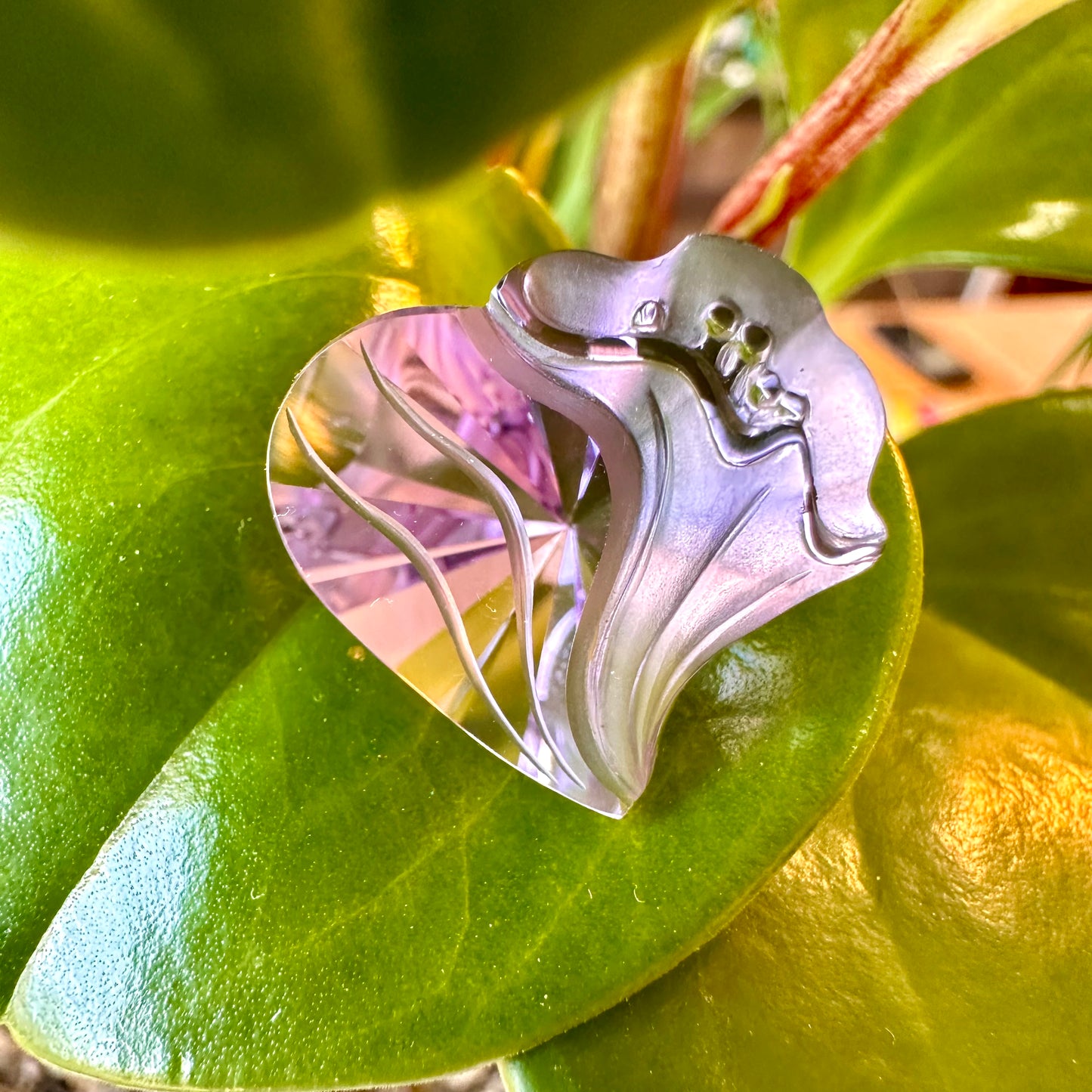 Flora