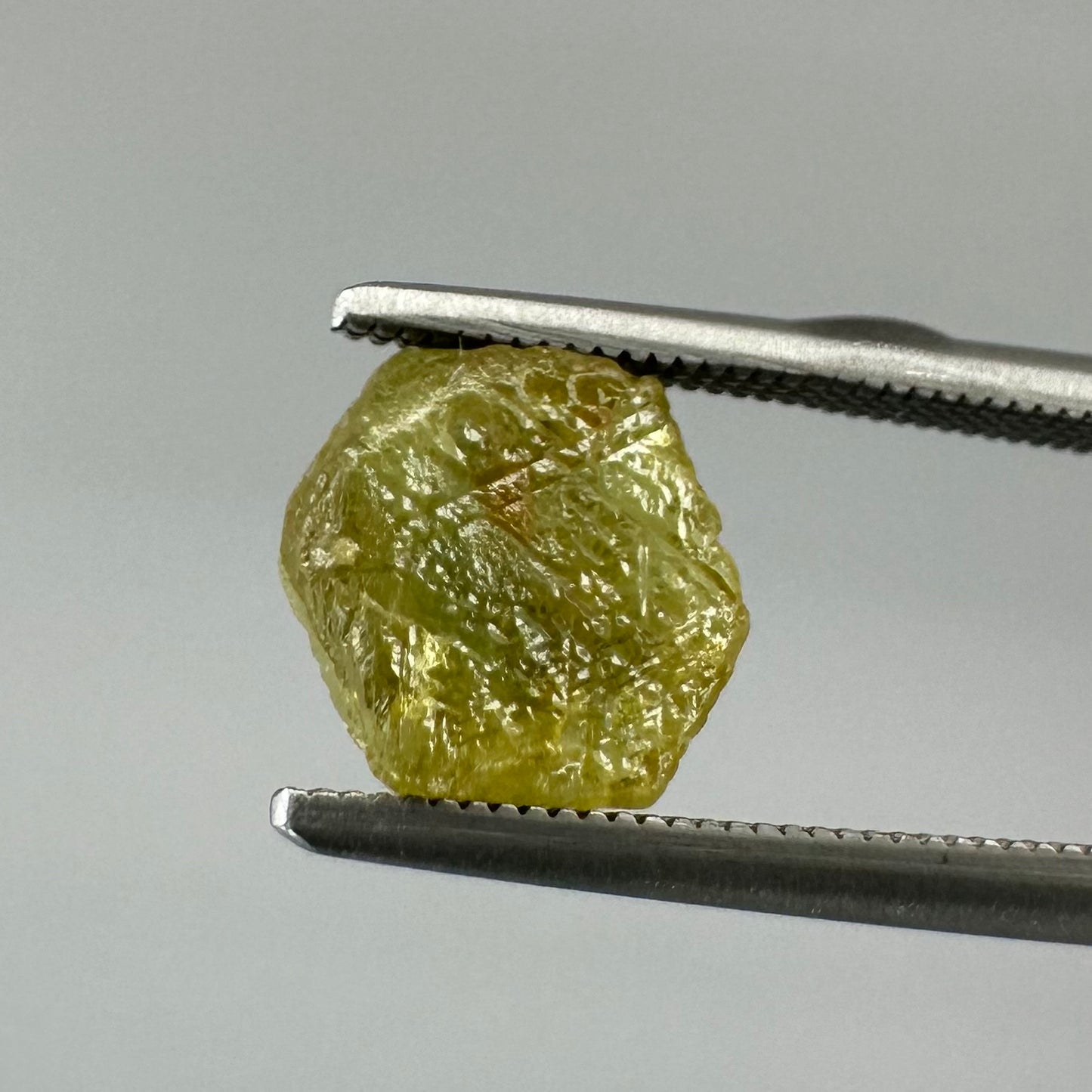 Yellow Raw Montana Sapphire Crystal 2.60ct
