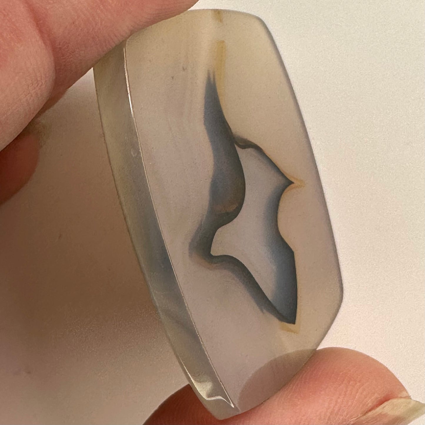 Cool Turkish Agate Slice with Ephemeral Shapes